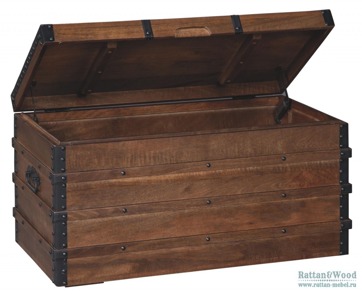 Trunk Storage Box x167